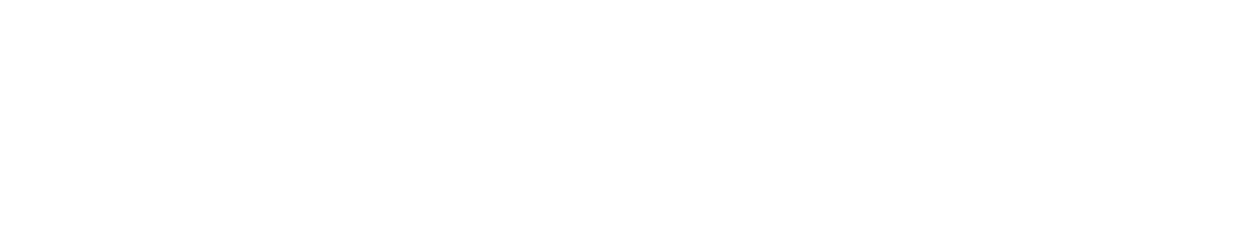 4040 VISION